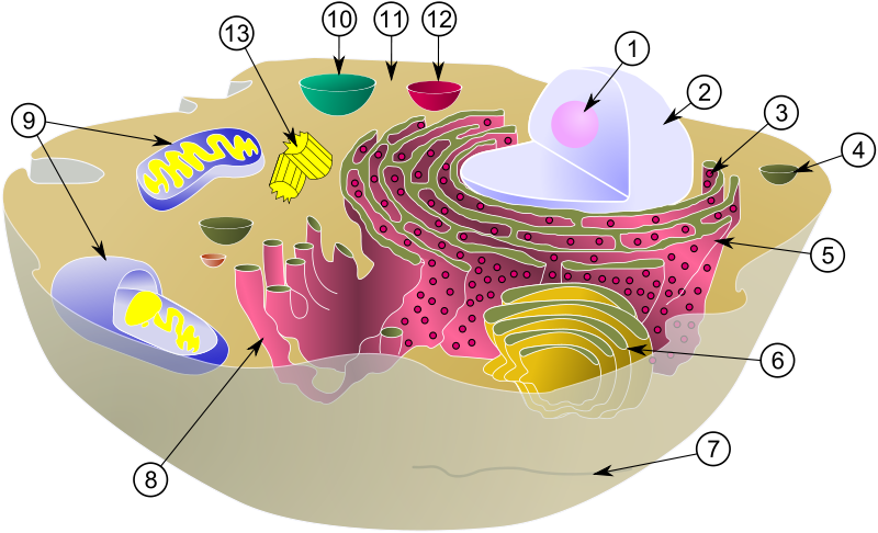 0400vdn6-68f3-800x486.png