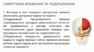 Локалізація вищих кіркових функцій та синдроми їх уражень.