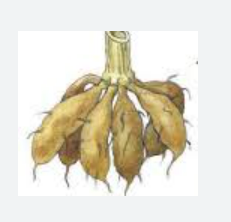 0400vht6-07b4-231x222.png