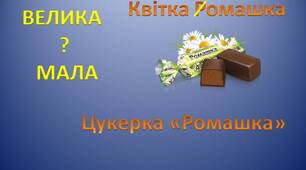 Самостійна робота "Велика літера і лапки у власних назвах (за новим правописом)"