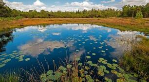 Конспект "Водойми рідного краю"