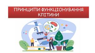 ПРИНЦИПИ ФУНКЦІОНУВАННЯ КЛІТИНИ