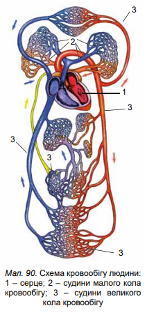0400vmu1-207d-212x452.png