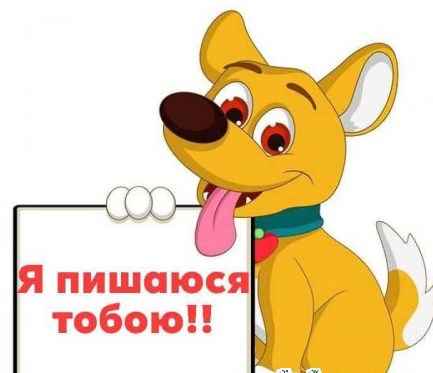 0400vmuq-3797-433x373.png