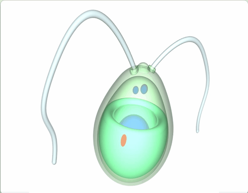 0400vnf0-9b90-800x622.gif