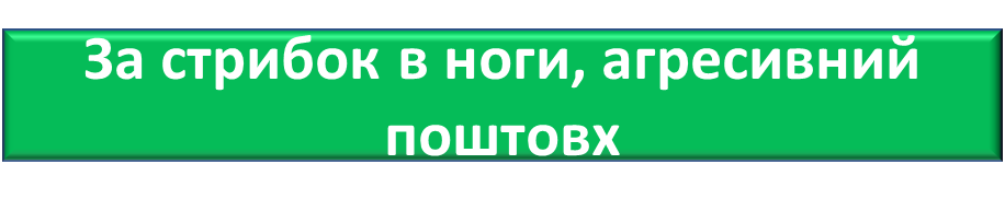 0400vozt-001b-916x193.png