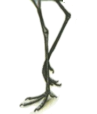 0400vyl1-9349-105x123.png
