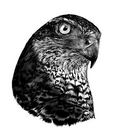 0400vypv-3716-121x133.png
