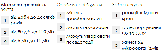 0400w143-0adc-552x183.png