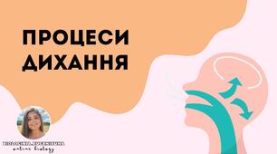 Презентація "Процеси дихання, газообмін"
