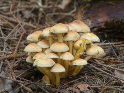 0400w7fe-ced6-248x186.jpg