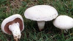 0400w7ge-3d8e-248x139.jpg