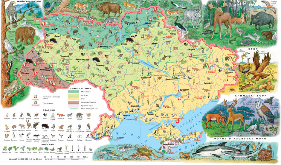0400wa6r-e542-940x554.jpg