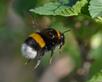 0400waic-6e78-102x82.jpg