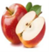 0400wdoe-9855-69x74.png
