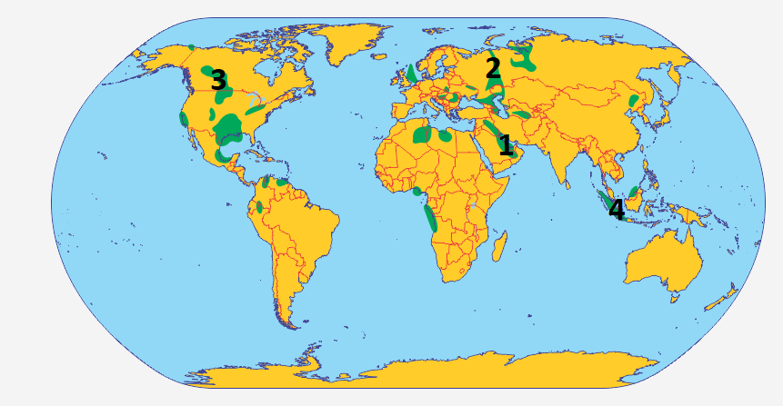 0400wflv-86ac-861x447.png