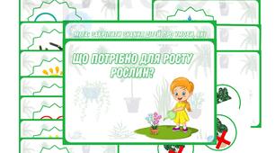 Дидактична гра "Що потрібно для росту РОСЛИН?"