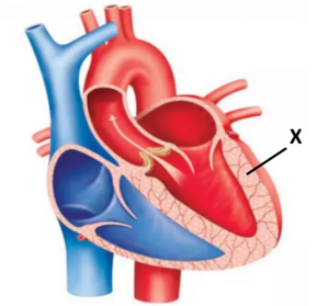 0400wi48-d1f8-288x279.png