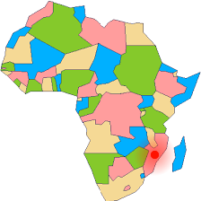 0400wigd-0d97-224x224.png