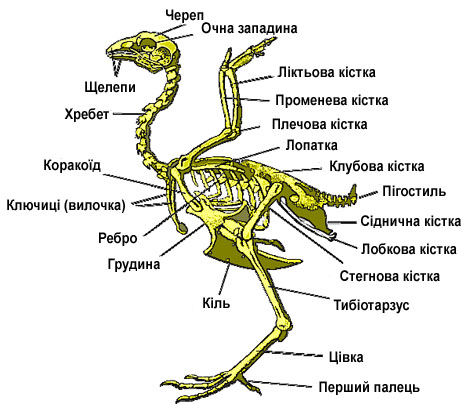 0400wpiv-0fd9-470x404.png