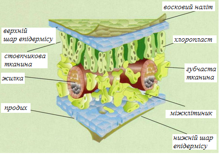 0400wsz1-8aff-451x318.png