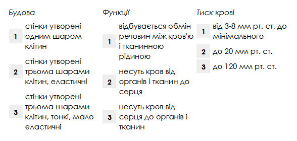 0400wvfj-4e3b-588x280.png