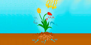 0400wwp4-4b80-300x150.jpg