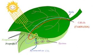 0400wx5o-4986-327x184.jpg