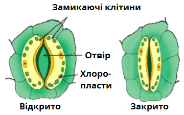 0400wxcc-b663-360x225.png
