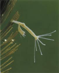 0400wyqp-4fb9-242x298.jpg