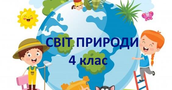 Діагностувальна робота "Світ природи" 4 клас | Тест на 12 запитань. Я ...