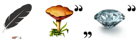 0400x1vf-df55-463x140.png