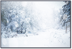 0400x2u2-86a2-249x169.png
