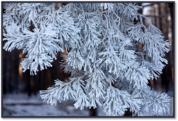 0400x2ue-d8cf-257x175.png