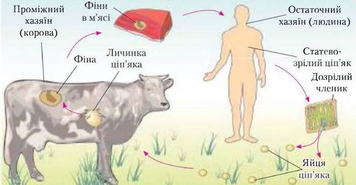0400x4o8-8539-729x380.png