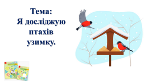Я досліджую птахів узимку. І. О. Большакова, М. С. Пристінська. 2 клас. ІІ частина