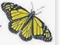 0400x8pk-e203-122x92.png