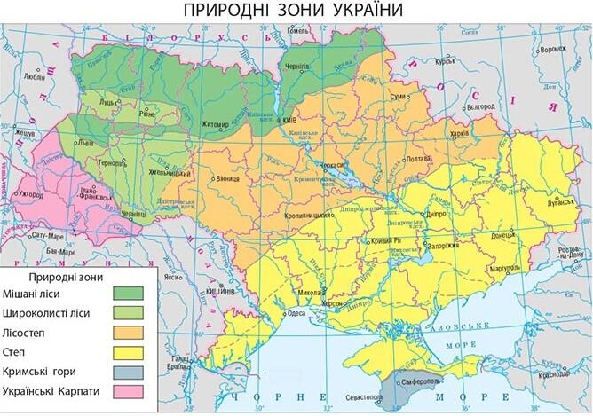 0400x8va-8533-668x469.jpg