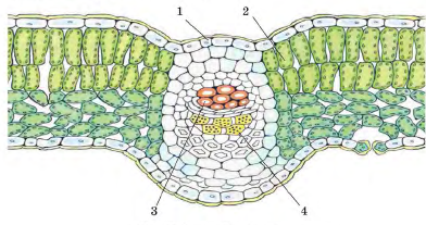 0400x961-8603-392x207.png