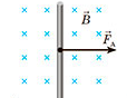 0400x9hd-8c12-114x88.png