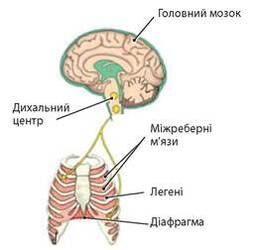 0400xaku-0985-253x250.jpg