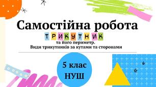 Самостійна робота Трикутник та його периметр. Види трикутників за кутами та сторонами 5 клас НУШ