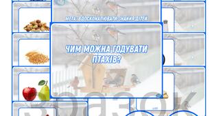 Дидактична гра " Чим можна годувати птахів?"