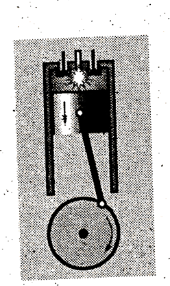 0400xfqq-7693-248x416.png