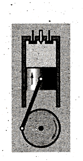 0400xfsj-6777-282x546.png