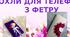 Презентація на тему: "Чохли для телефонів  з фетру"