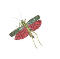 0400xoht-96b4-197x195.png
