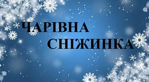Дидактична  гра "Чарівна сніжинка"
