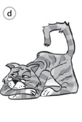0400xql8-dd5c-161x238.png