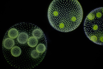 0400xs3t-e9f7-348x232.png